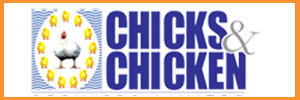 Chicks N Chicken Ltd.